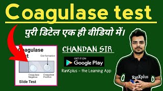 coagulase test microbiology in hindi  chandan mlt [upl. by Morrison155]