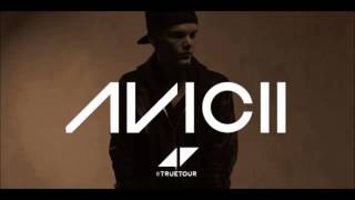 Avicii Intro True Tour  Avicii 2015 [upl. by Martine]