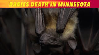 Rabies Death In Minnesota [upl. by Irrehc]