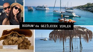 Bodrum Tatili  Gezilecek Yerler  Zeki Müren Müzesi  Bodrum Kalesi  Yalıkavak Marina  Tekne Turu [upl. by Otrebilif382]