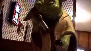 Drunk Yoda [upl. by Ehsom]