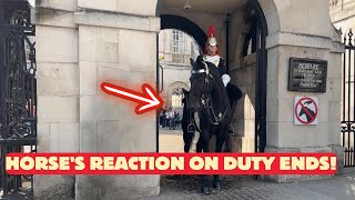 Royal Horse Excitedly Neighs as Gate Opens – Watch Its Happy Reaction [upl. by Oren]