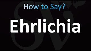 How to Pronounce Ehrlichia Correctly [upl. by Khichabia]