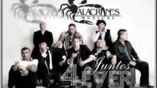 Zapateado Encabronado 2  Alacranes Musical [upl. by Guild]