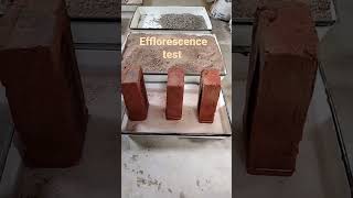 efflorescence test of brick harmful ingredients in brick [upl. by Ahsinra]