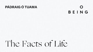 “The Facts of Life” — written and read by Pádraig Ó Tuama [upl. by Haissem]