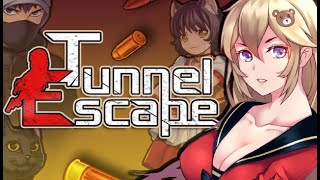 Tunnel Escape Gameplay PC [upl. by Gregg664]