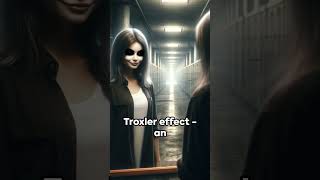 The Troxler Effect [upl. by Nodnyl]