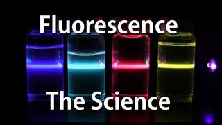 How Fluorescence Works  The Science [upl. by Merce828]