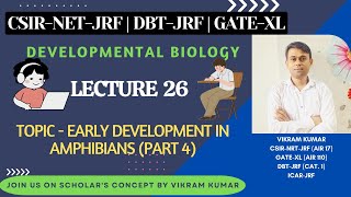 Early Development in Amphibians Part 4  Organizer  Gastrulation [upl. by Gracia]