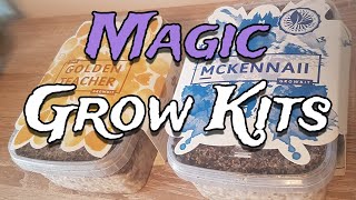 How to Grow Mushrooms from Start to Finish with a Magic Grow Kit  The Easiest Way to Grow Shrooms [upl. by Dyoll569]