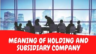 🔴 Holding Company and Subsidiary Company  Meaning  Kinds of Companies  Shorts [upl. by Nnair453]