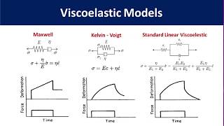 Polymer Viscoelasticity [upl. by Alard999]