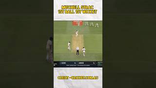 Mitchell Strac 1st Ball 1st Wicket 😲😲 cricketshorts cricketmatch [upl. by Basilius]