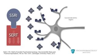 Mechanism of SSRIs Monoamine Theory and the Role of BDNF [upl. by Virginia]