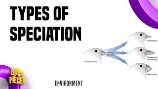 Types of speciation  Allopatric sympatric Parapatric Peripatric in Tamil II UPSC II TNPSC II [upl. by Gnourt409]