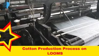 Cotton Fabric Manufacturing Process  Warp and Weft  Cotton Production  Looms Weaving Process [upl. by Eikciv]