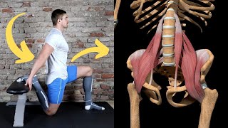 How to FIX Hyperlordosis  Anterior Pelvic Tilt in 5 minutes a day [upl. by Hayward596]