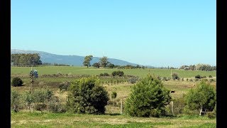 297 hectáreas en Cerros Azules Maldonado Uruguay [upl. by Elwyn]