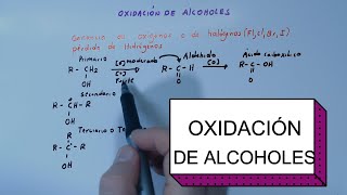 REACCIONES DE ALCOHOLES OXIDACION REDUCCION DESHIDRATACION ETC QUÍMICA CON IRWIN [upl. by Eenad540]