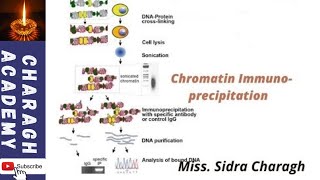 In Vivo Transcription Factor Recruitment Analysis by Chromatin Immunoprecipitation ChIP✍✍ [upl. by Maryann]