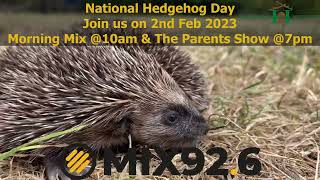 Mix926 National Hedgehog Day 2023  Hornbeam Wood Hedgehog Sanctuary [upl. by Sipple]