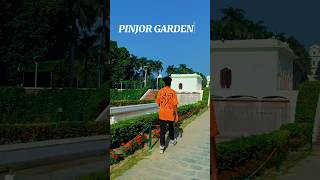 Dingara Kura new santali short video SHIVA ROX pinjoregarden pinjore napaykuraofficial [upl. by Reteid]