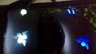 Razer Imperator Vs the Razer Deathadder [upl. by Hermia863]