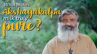 What makes Akshayakalpa milk truly pure  Akshayakalpa organic [upl. by Vinita555]