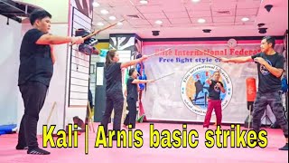 12 basic strikes of Kali  Arnis Tirada Classical flow drill of Filipino Martial Arts [upl. by Sathrum]