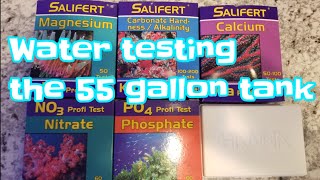 Water testing the 55 gallon tank [upl. by Carlen849]