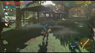 Second Wind gameplay  Breath of the Wild mod [upl. by Rao]