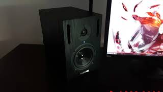 Tascam VLX5 Studio Monitor  quotsound checkquot [upl. by Nhguavad]