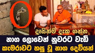 කැමරාවට හසු වූ නාග දෙවියන් දෑසින්ම දැක ගන්න  Gothami Maniyo  MY TV SRI LANKA  Naga lokaya [upl. by Abas]