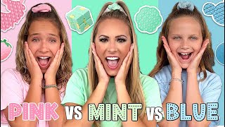 PINK 🌸 VS MINT 🛼 VS BLUE ❄️ FIDGET SHOPPING CHALLENGE [upl. by Marcos244]