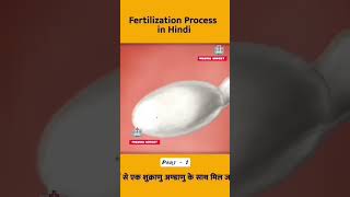 fertilization process in human animation।।3danimation shorts fertilisation [upl. by Annerahs133]