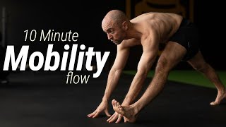 10 Minute Mobility Flow Workout  Follow Along No Talking [upl. by Fried75]