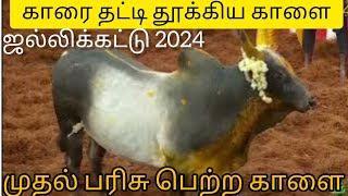 First Price winner of alanganallur jallikattu 2024 [upl. by Ahsinar]