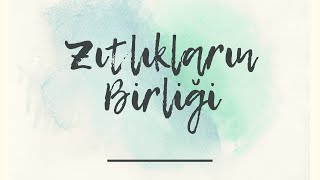 Zıtlıkların Birliği  Hegel  Tinin Fenomenolojisi  Bölüm 13 [upl. by Benedicto]