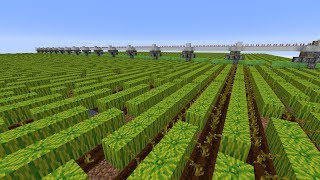 Feasible Melon Based Bone Meal Farm [upl. by Odicalp]