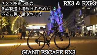 【クロスバイク】仕事でやられたメンタルを癒すために100キロ走るw【サイクリングエスケープRX3】 [upl. by Starobin608]