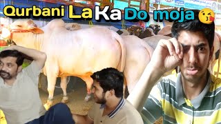 Qurbani La Ka Do Moja 🥰 Nahi Pata La ka do  Faizan Family 🥰 [upl. by Cele]