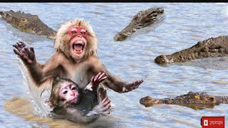 crocodile eats baby monkey without mercy Killer crocodiles best moments [upl. by Martynne988]