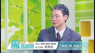 了解這三點 肝癌不可怕｜瑪摩利癌症中心主治醫生 黃夷伍｜健康11直播間 [upl. by Eleazar]