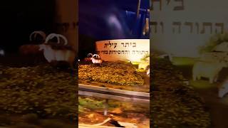 Beitar Illit shorts city israel [upl. by Itch]