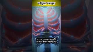 Use Camphor to Relieve Breathing Issues  শ্বাসের সমস্যা কমাতে কর্পূরের ব্যবহার [upl. by Iphigeniah]