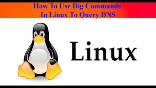 How To Use Dig Commands In Linux To Query DNS  ITTrainingsByUmarDraz [upl. by Fernyak]