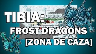 Tibia Como llegar a Frost Dragons Zona de Caza [upl. by Rachel620]