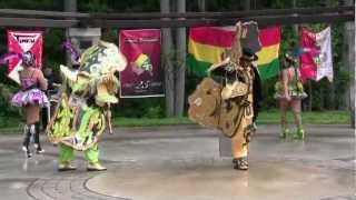 Bolivian Culture Night at Ossian Hall Park in Annandale VA [upl. by Jago67]