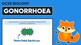 Gonorrhoea  Bacterial Diseases  GCSE Biology [upl. by Cuthbertson]